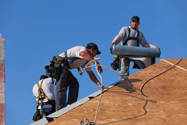 Best Flat Roof Repair Services  in Comstock Park, MI